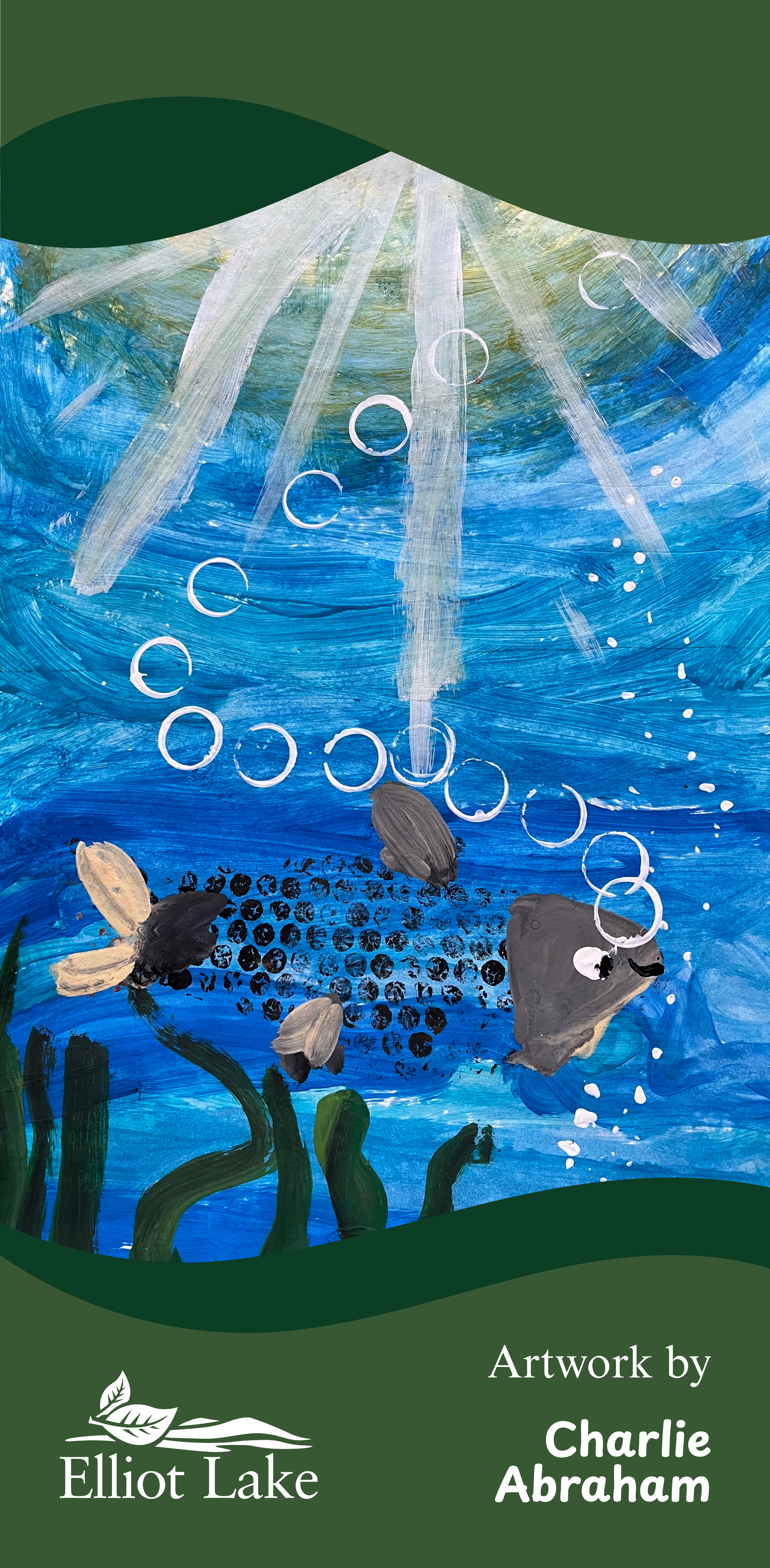 Charlie Abraham's Fish Underwater Banner