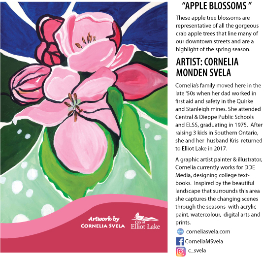 Cornelia Monden Svela Apple Blossoms